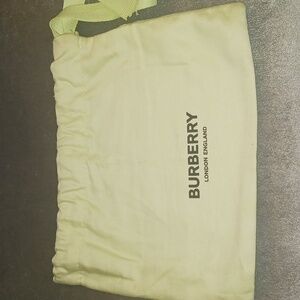 Burberry Mint Green Dustbag